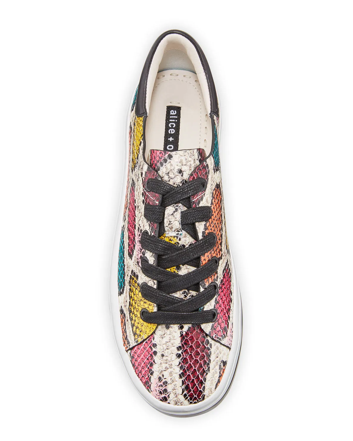 Ezra II Low Top Sneaker - Snake Multi