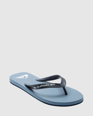 Mens Molokai Core Flip-Flops