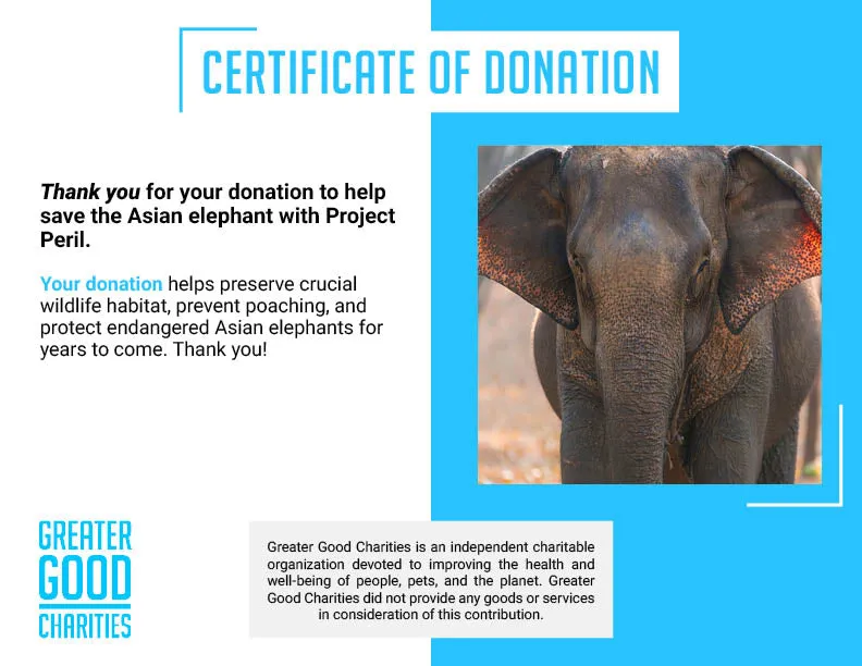 Project Peril: Help Save the Asian Elephant